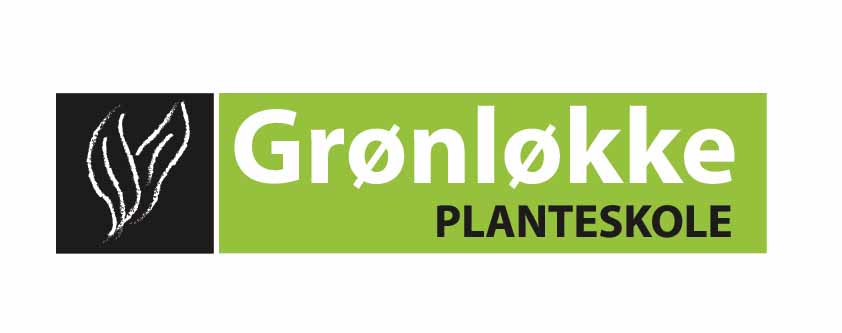 Grønløkke planteskole