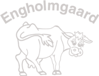 engholmgaard